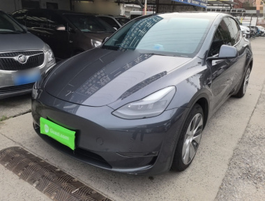 Tesla Model Y 2021 Tesla Model Y 2021 car image
