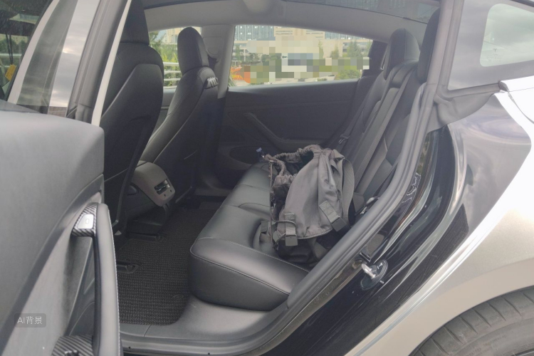 Tesla Model 3 2020 car image #19