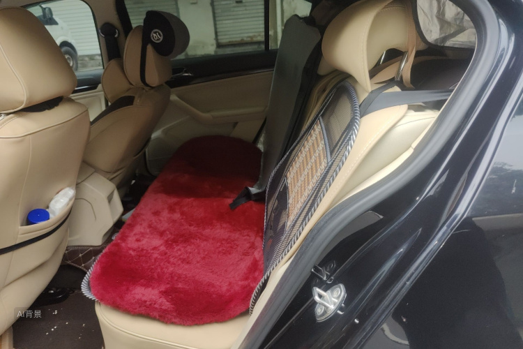 Volkswagen Lavida 2015 car image #19