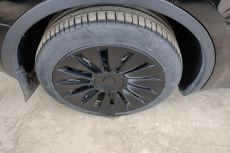 Tesla Model Y 2023 #10 Tesla Model Y 2023 car image #10
