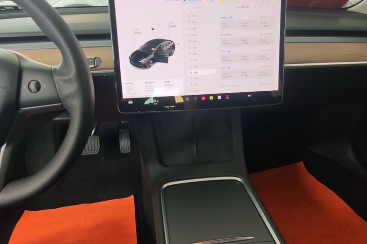Tesla Model 3 2021 imagem de carro #13