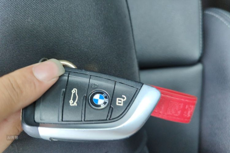 BMW X1 2020 car image #10