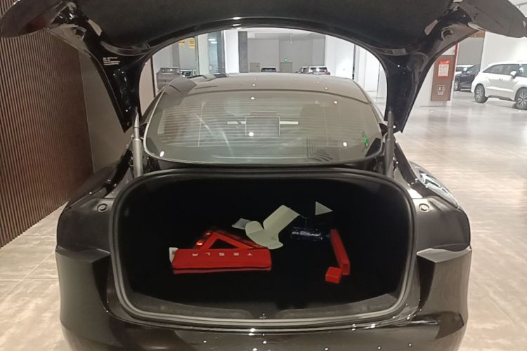 Tesla Model 3 2025 #19 Tesla Model 3 2025 car image #19
