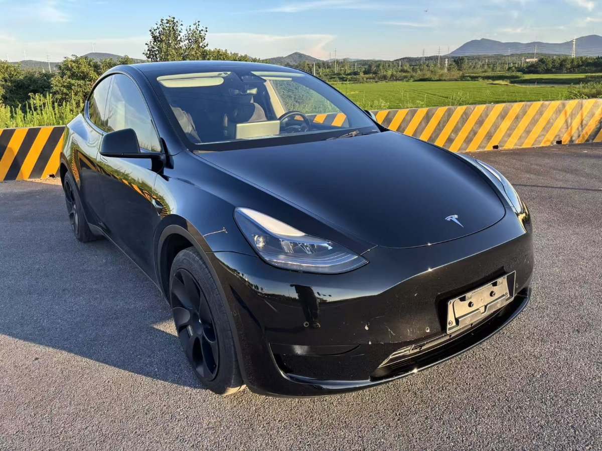 Tesla Model Y 2023 #3 Tesla Model Y 2023 car image #3