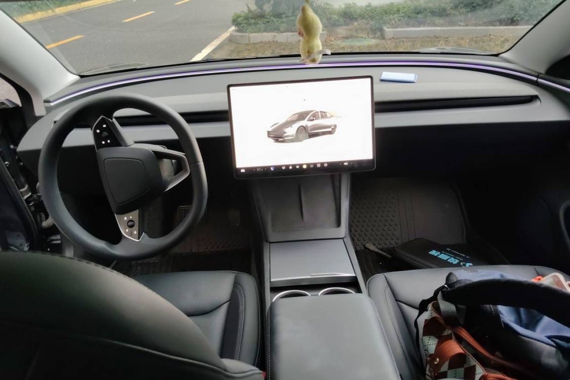 Tesla Model 3 2024 car image #23