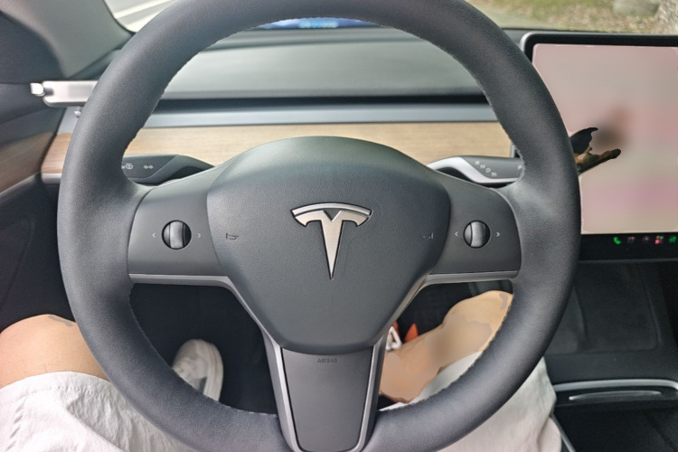 Tesla Model 3 2021 #11 Tesla Model 3 2021 car image #11
