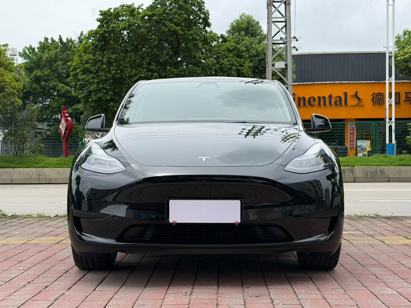 Tesla Model Y 2022 #2 Tesla Model Y 2022 car image #2