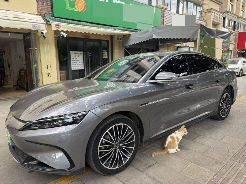 BYD Han 2024 car image 
