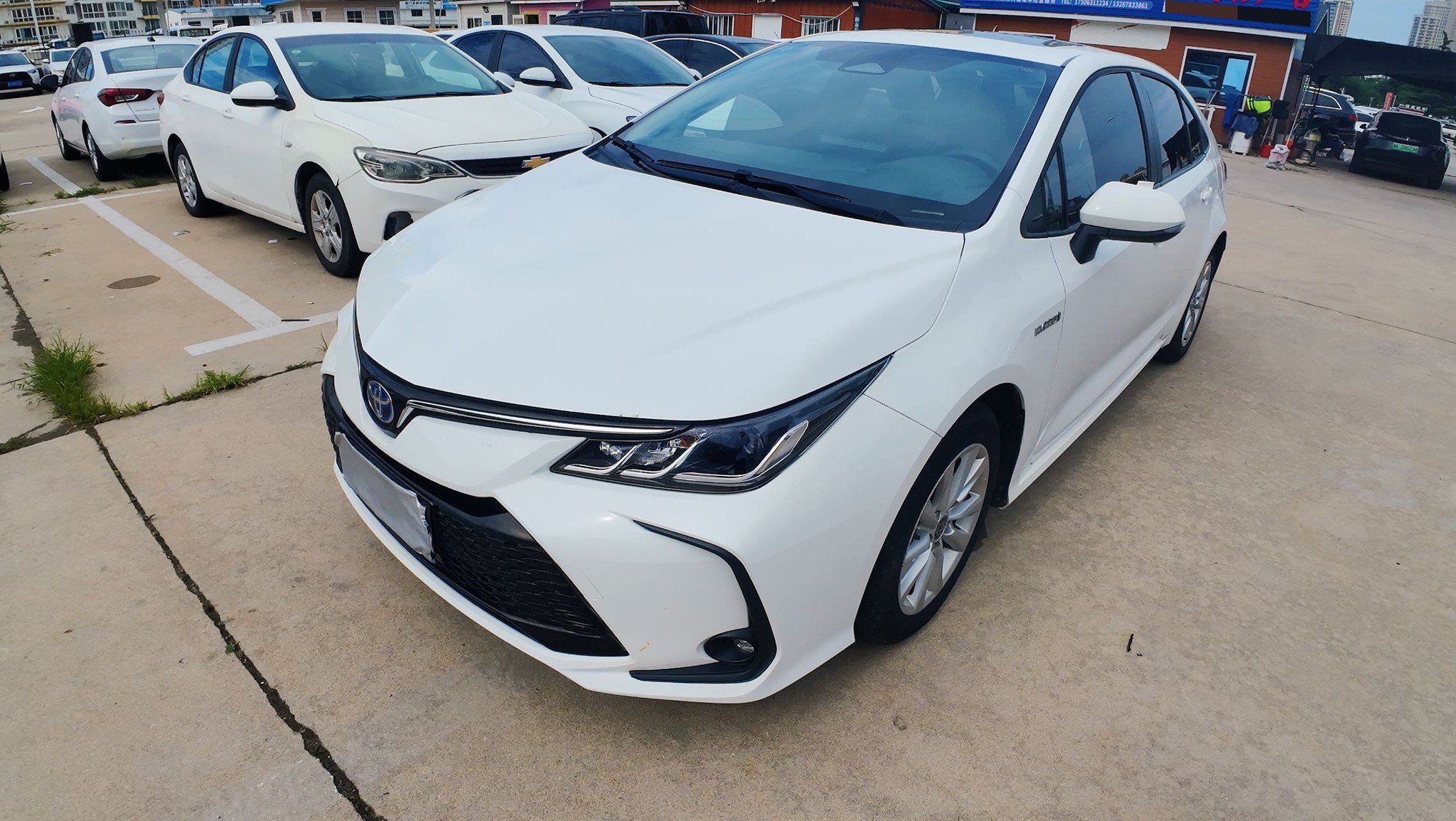 Toyota Corolla 2023 car image 