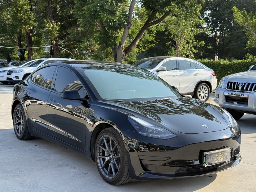 Tesla Model 3 2023 #3 Tesla Model 3 2023 car image #3