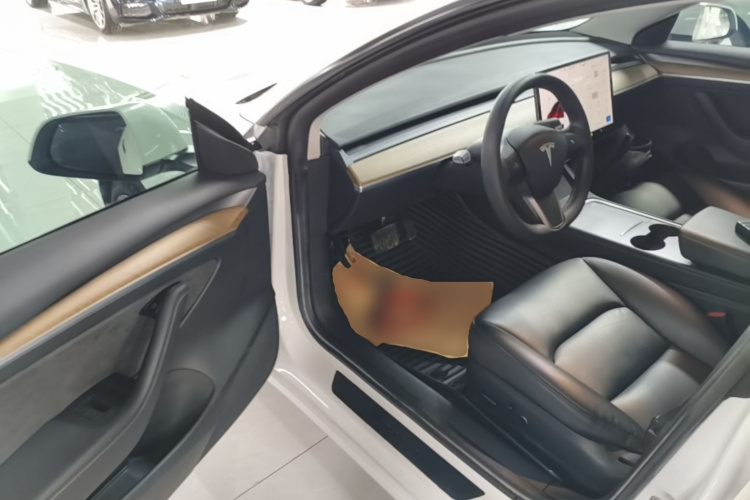 Tesla Model 3 2021 immagine di auto #16