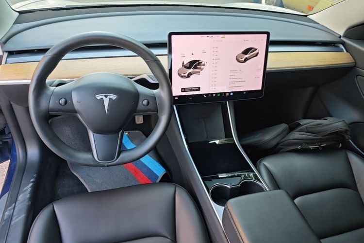 Tesla Model 3 2020 car image #14