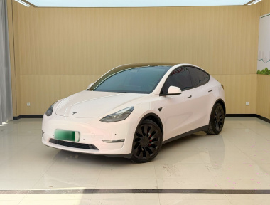 Tesla Model Y 2021 car image 