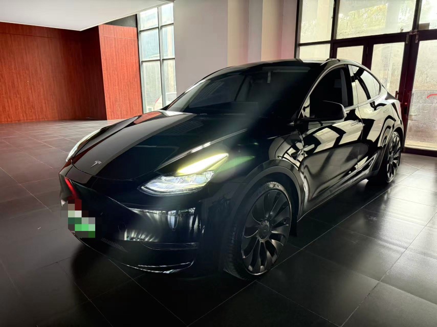 Tesla Model Y 2022 Tesla Model Y 2022 car image
