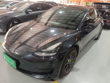 Tesla Model 3 2020 Tesla Model 3 2020 car image