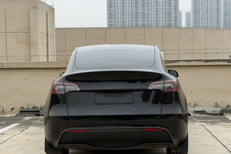 Tesla Model Y 2023 car image #7