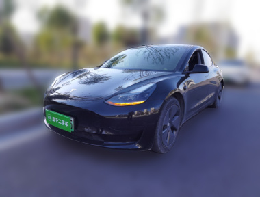 Tesla Model 3 2021 Tesla Model 3 2021 car image