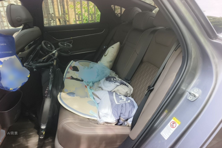 BYD Han 2021 car image #19