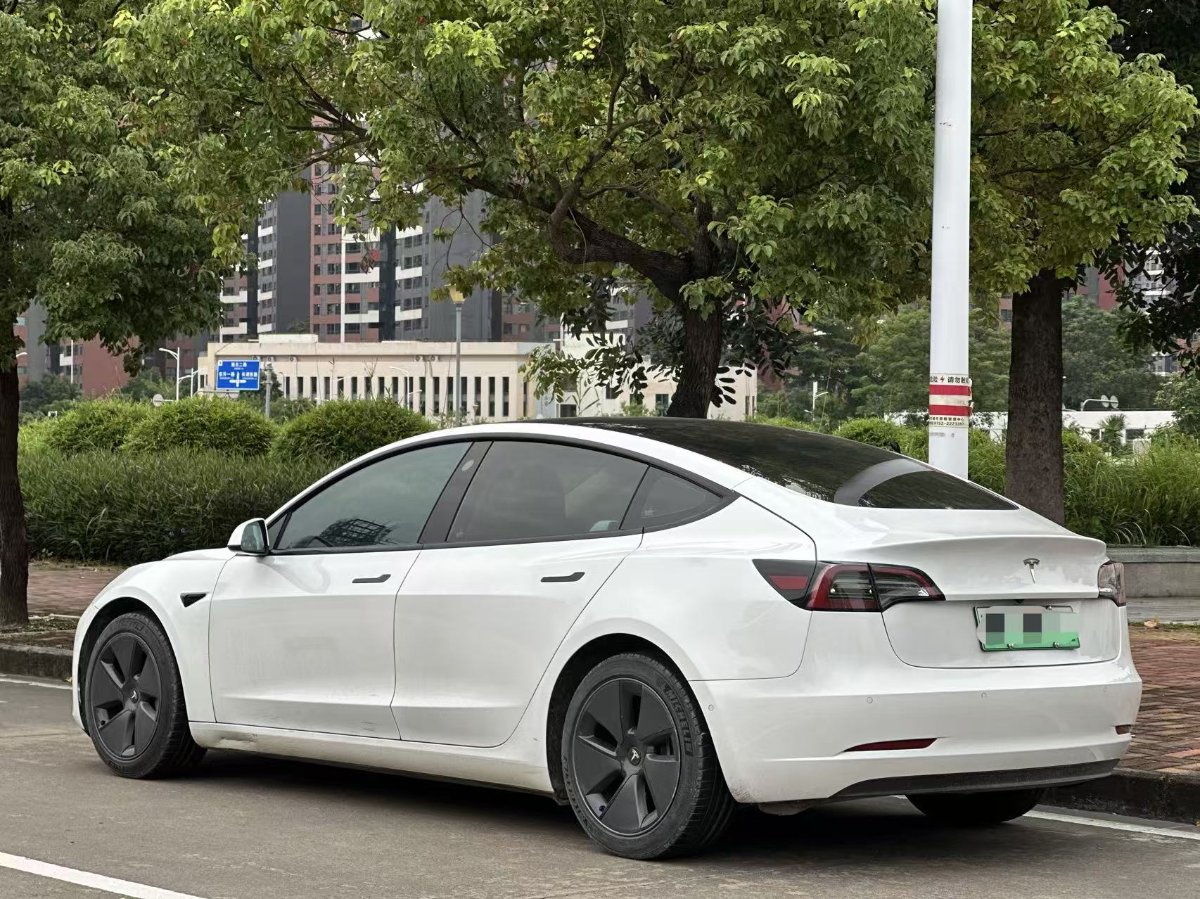 Tesla Model 3 2021 #8 Tesla Model 3 2021 car image #8