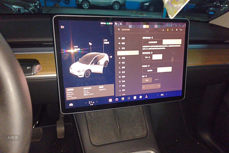 Tesla Model Y 2021 car image #13