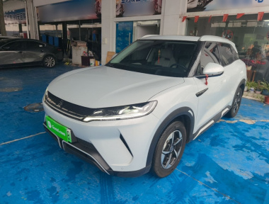 BYD YuanUP 2024 BYD YuanUP 2024 car image