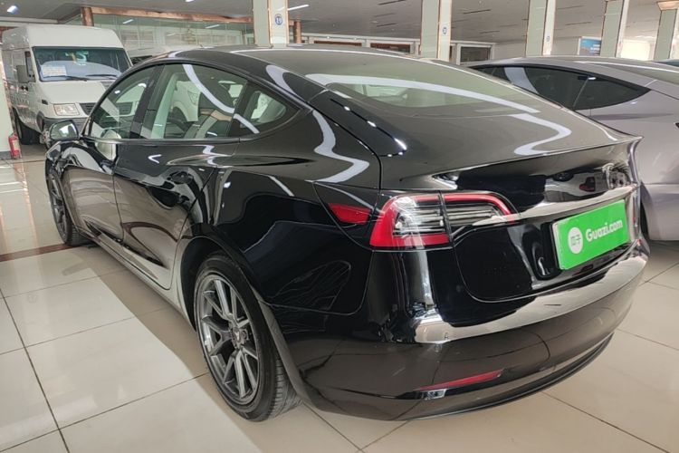 Tesla Model 3 2021 #5 Tesla Model 3 2021 car image #5