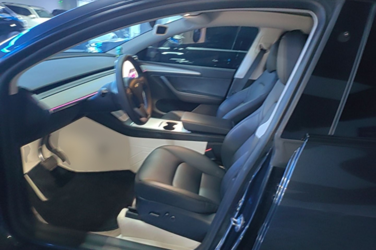 Tesla Model Y 2025 car image #15
