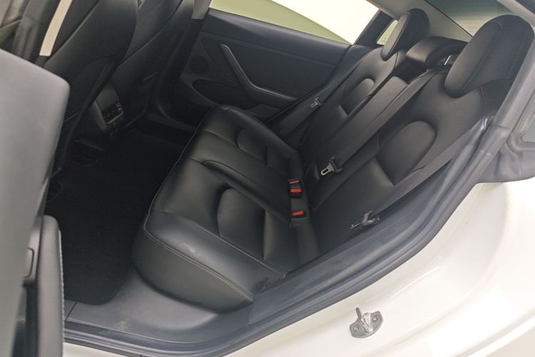 Tesla Model 3 2022 imagem de carro #17