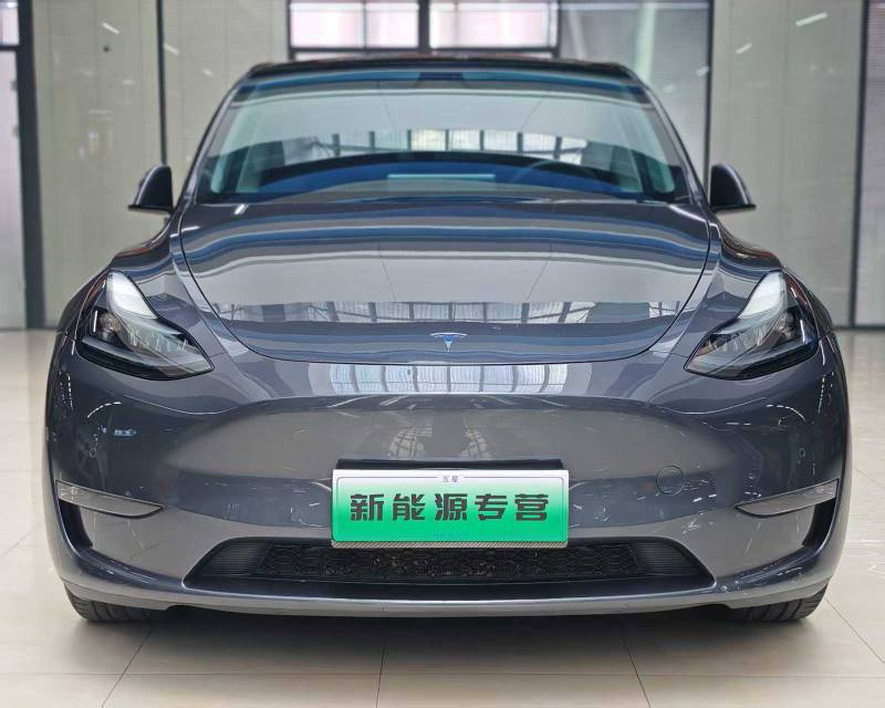 Tesla Model Y 2023 car image 