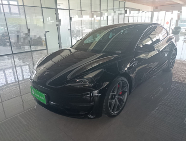 Tesla Model 3 2021 Tesla Model 3 2021 immagine di auto