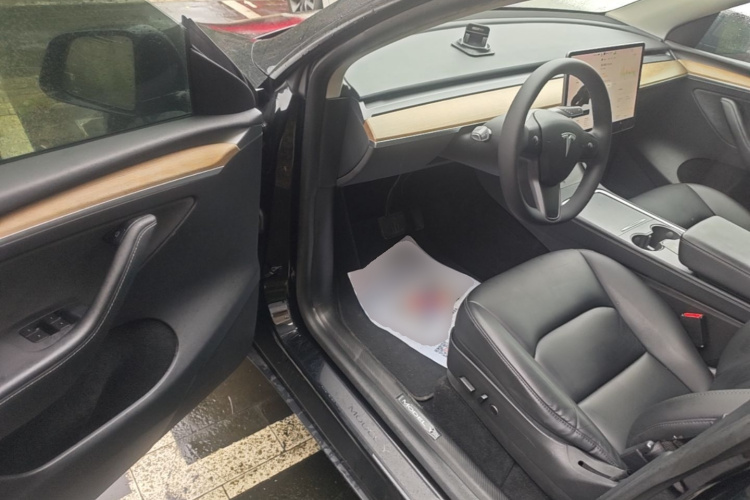 Tesla Model Y 2021 #16 Tesla Model Y 2021 car image #16