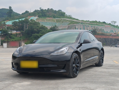 Tesla Model 3 2023 Tesla Model 3 2023 car image