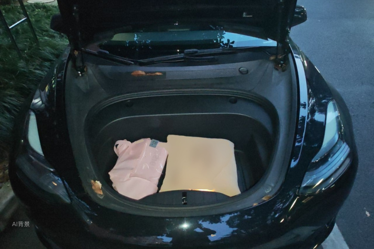 Tesla Model 3 2022 #22 Tesla Model 3 2022 immagine di auto #22