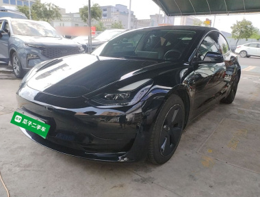 Tesla Model 3 2021 Tesla Model 3 2021 car image
