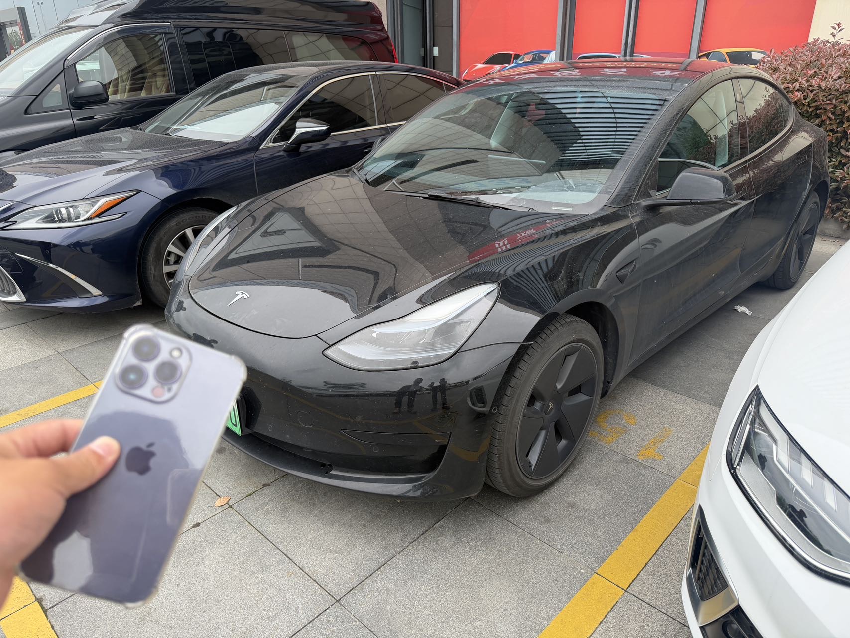 Tesla Model 3 2022 car image 
