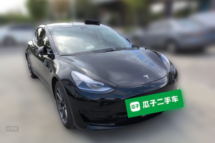 Tesla Model 3 2021 car image #4