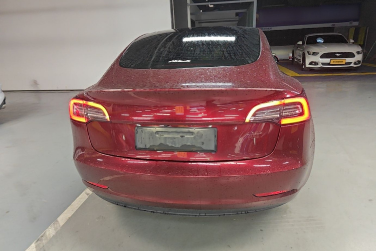 Tesla Model 3 2021 #6 Tesla Model 3 2021 car image #6