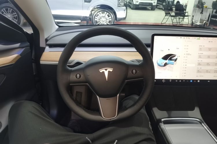 Tesla Model 3 2022 #15 Tesla Model 3 2022 immagine di auto #15