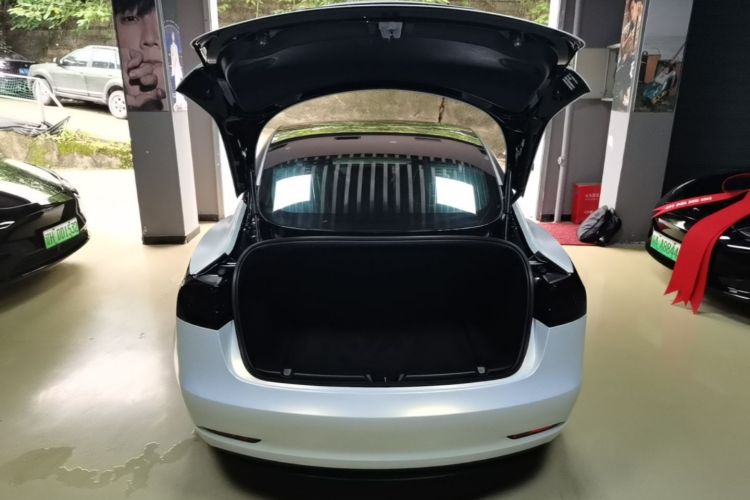 Tesla Model 3 2020 #19 Tesla Model 3 2020 car image #19
