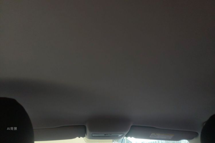 Volkswagen Polo 2017 car image #20