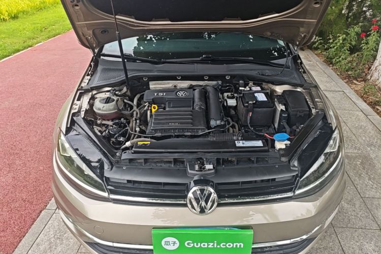 Volkswagen Golf 2019 #20 Volkswagen Golf 2019 car image #20