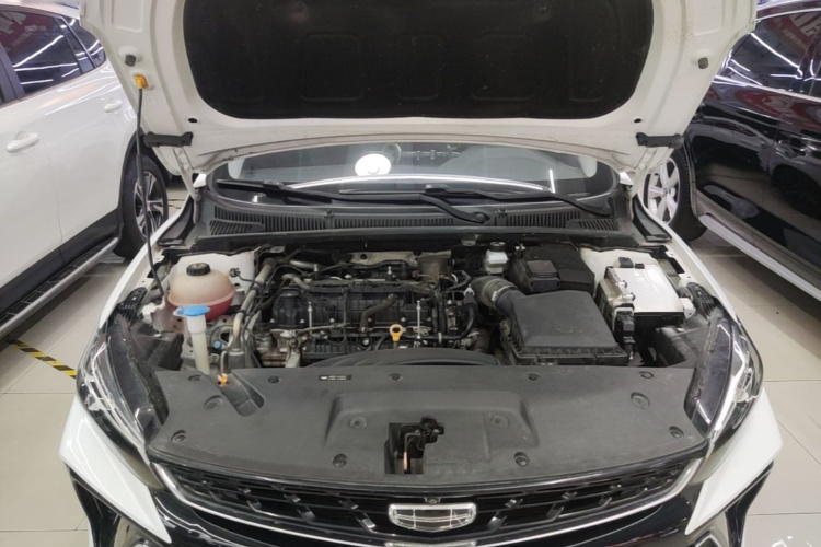 GEELY Binray 2023 #22 GEELY Binray 2023 صورة سيارة #22