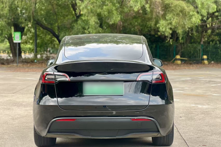 Tesla Model Y 2023 #8 Tesla Model Y 2023 car image #8