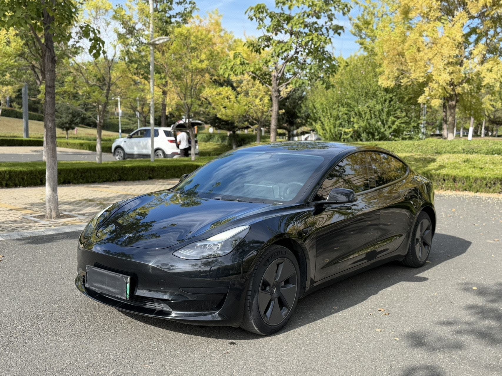 Tesla Model 3 2022 car image 
