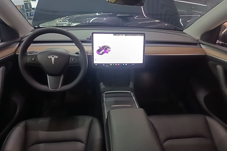 Tesla Model Y 2021 car image #10