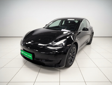 Tesla Model 3 2020 Tesla Model 3 2020 car image