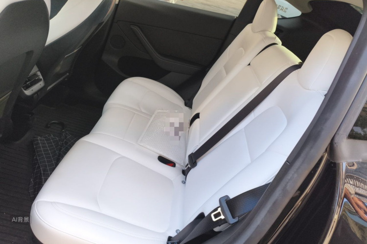 Tesla Model Y 2023 car image #19