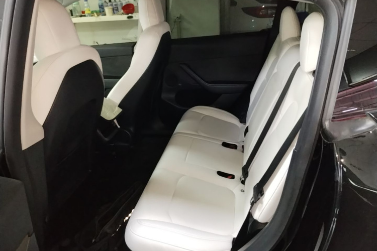 Tesla Model Y 2021 car image #17