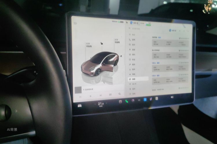 Tesla Model 3 2022 car image #15
