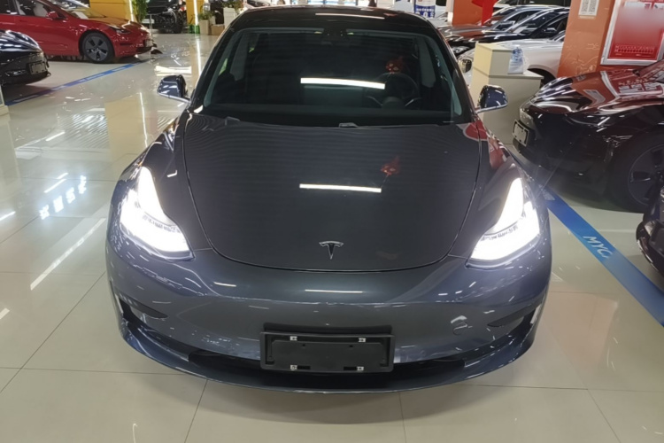 Tesla Model 3 2020 car image #3